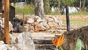 A stone pathway leading to a wooden structure, surrounded by rocks and greenery. - Garden studio by the sea (Agios Ioannis)