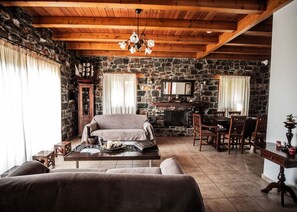 TV, fireplace, DVD player, books - Villa Gaia with Private Pool (Milatos)