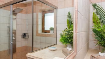 Shower, hair dryer, towels
