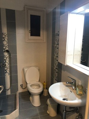 Shower, hair dryer, towels - One Bedroom Apartment (Naxos)