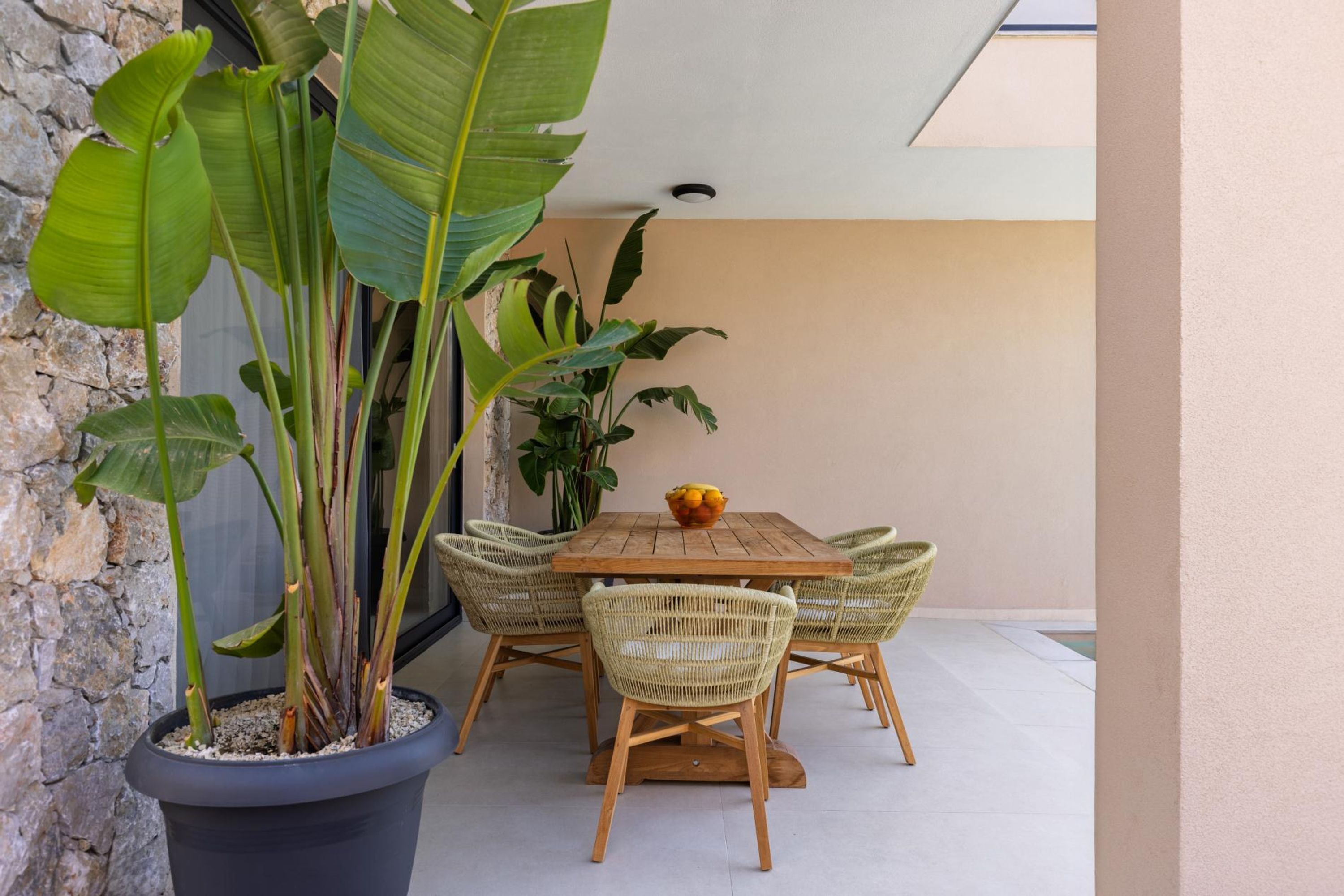 A dining area with a wooden table and wicker chairs, surrounded by large potted plants.