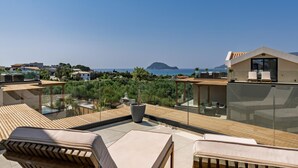 Terraza en la azotea con mobiliario exterior, una planta grande en maceta y una vista despejada del mar y montañas distantes.