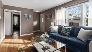 Fernseher, Arbeitsbereiche