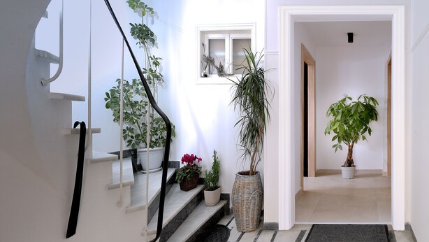 Interior - Fili's Central Spot B (Volos)
