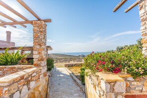 Property grounds - Villa Ioanna for 10 - AllParos Villas (Paros)
