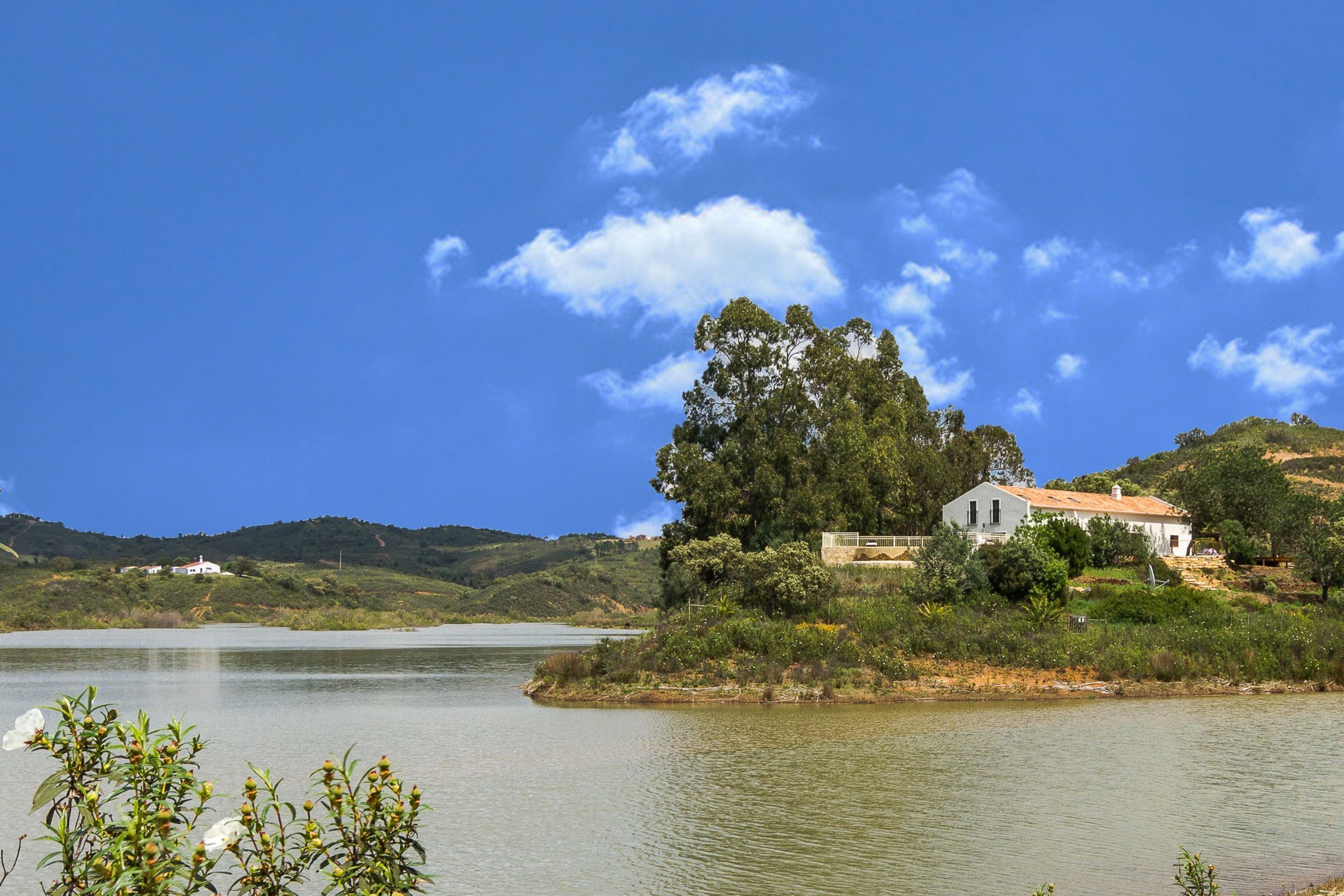 منوع