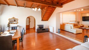 TV, books, stereo, offices - Loris Residence in Ionian Islands (Ionian Islands)