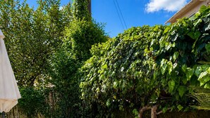 An outdoor patio with a table and chairs, surrounded by lush greenery and a wall with climbing plants. - Kansoneta-Traditional Mansion in Gastouri Village (Achilleio)