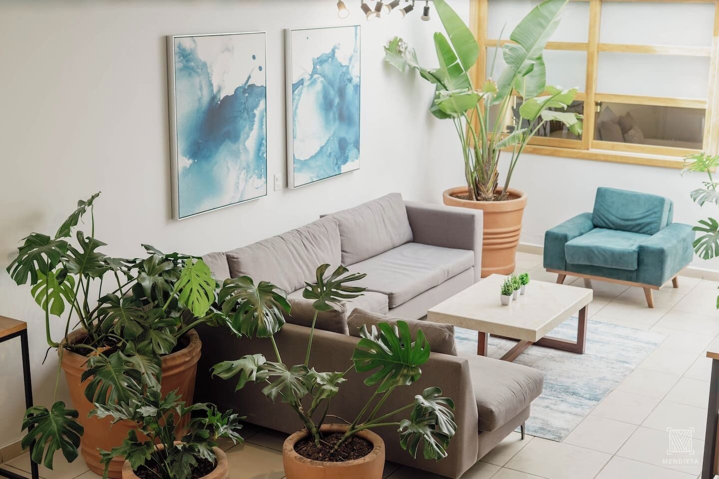 Ein modernes Wohnzimmer mit einem grauen Sofa, einem blauen Sessel und mehreren Blumentöpfen.