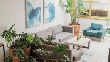 Ein modernes Wohnzimmer mit einem grauen Sofa, einem blauen Sessel und mehreren Blumentöpfen.