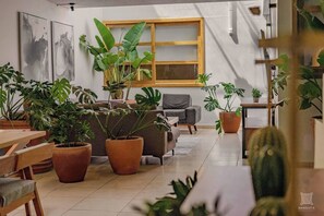 Un interior moderno con un sofá, sillas y plantas en macetas.