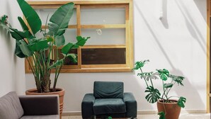 Un salon avec un canapé gris, un fauteuil bleu foncé et deux plantes en pot.