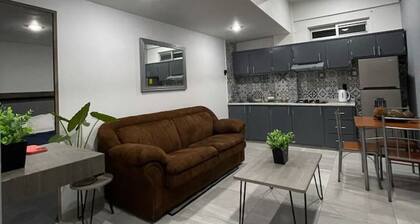 Ópera: Departamento en el centro