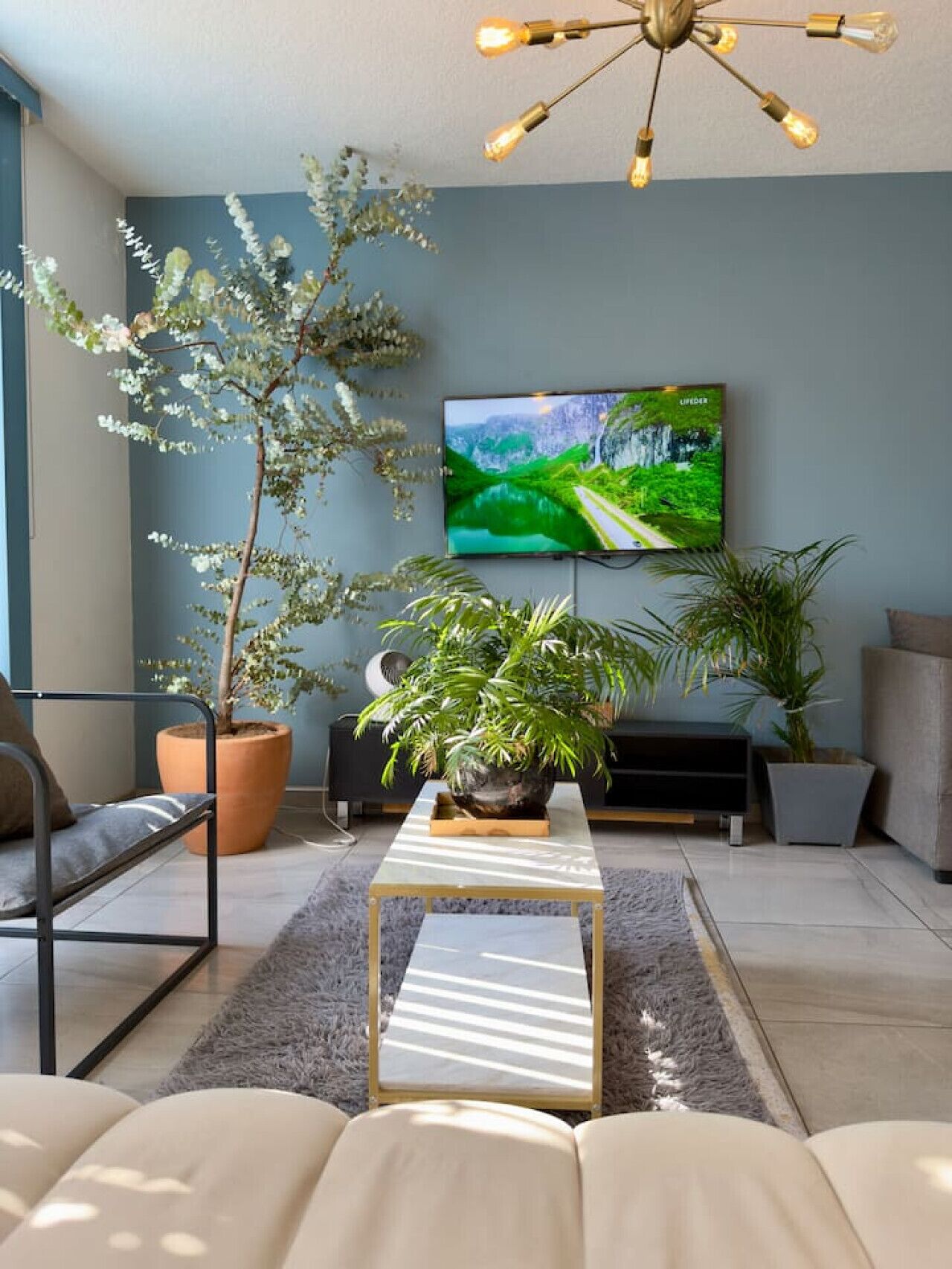A modern living room with a large flat-screen TV, a potted plant, a sofa, and a coffee table.