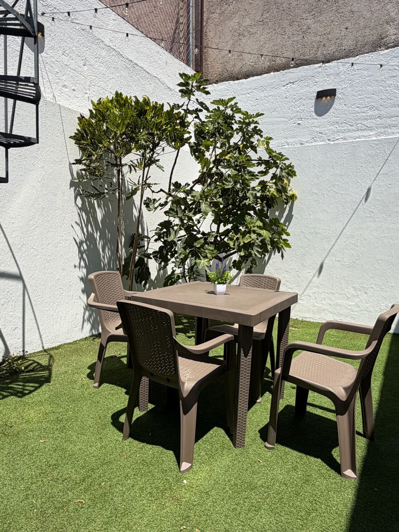 Opções para refeição ao ar livre