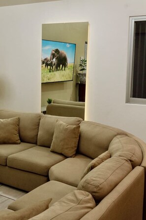 TV