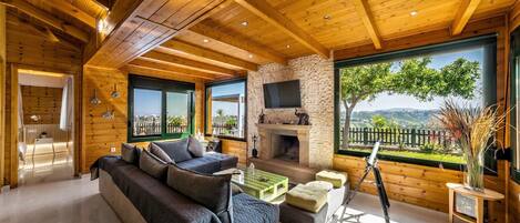 TV, fireplace, offices
