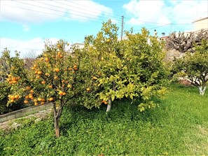 Àrea exterior de l'allotjament
