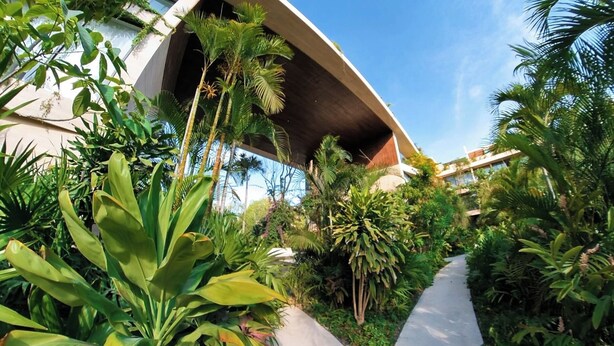 A pathway surrounded by lush tropical plants and a modern building with a curved roof. - Beautiful two bedroom for 6 guests (Tulum)