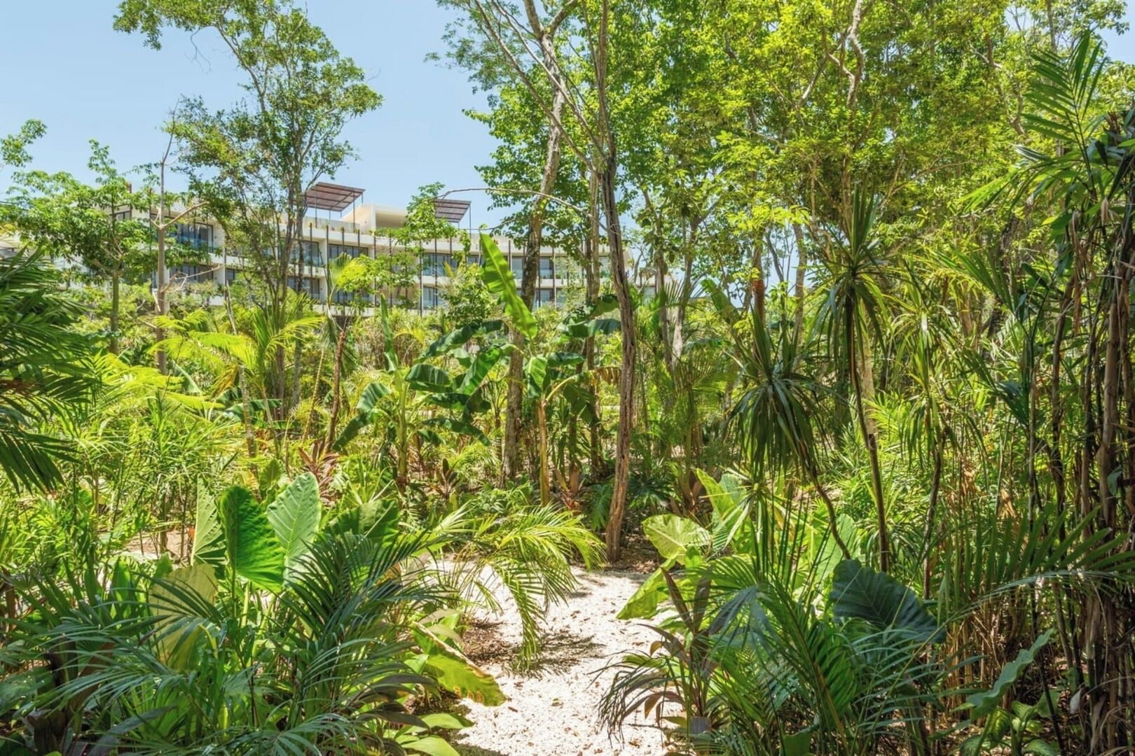 A lush garden path leading to a building with modern architecture.