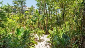 A lush garden path leading to a building with modern architecture. - Spectacular Loft with gym, pool and beach shuttle (Tulum)