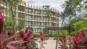 A pathway leading to a modern building with multiple floors, surrounded by lush greenery and tropical plants. - Jungle view studio, AC, Wifi , Several Pools (Tulum)