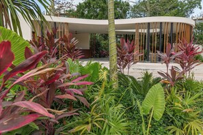 Property grounds - New loft in the middle of the mayan jungle! (Tulum)