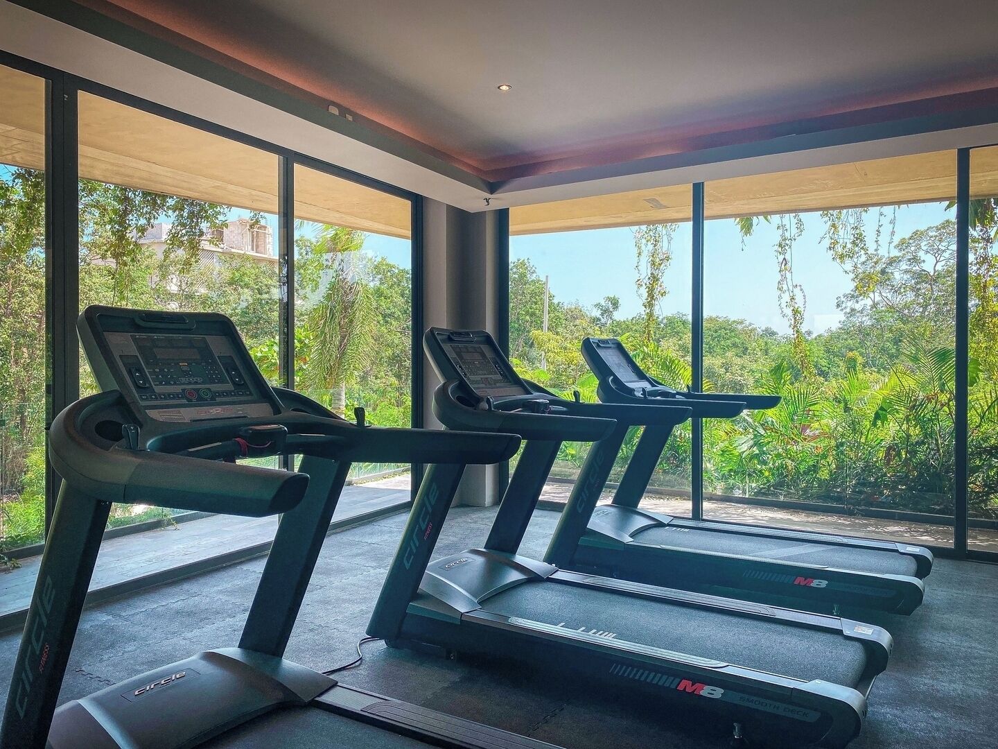 A gym with treadmills and a large window with a view of greenery.