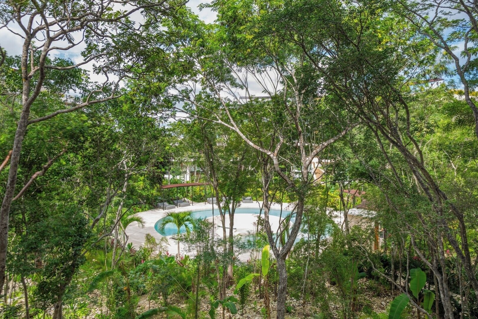 A pool surrounded by lush greenery and trees, with a clear view of the sky.
