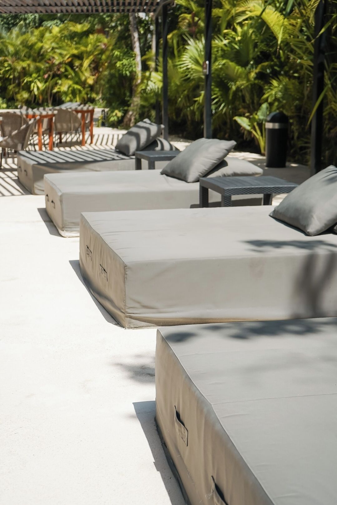 Une rangée de fauteuils de jardin confortables, dotés de coussins, disposés sur une surface en béton, et entourés d’une végétation luxuriante.