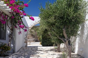 Property grounds - Villa Santa Bliss Paros (Paros)
