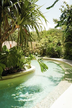 Pool - Luxury Studio near Tulum beach, fast WI-FI and AC! (Tulum)