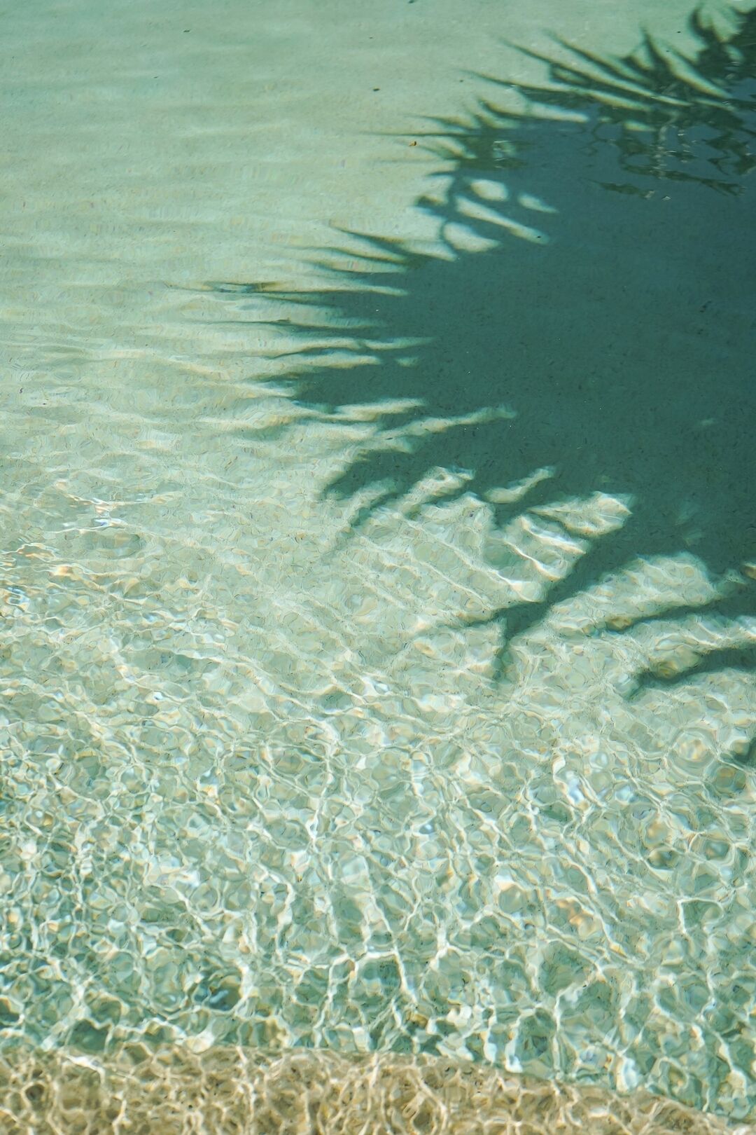 Clear shallow water with a shadow of a tree branch.