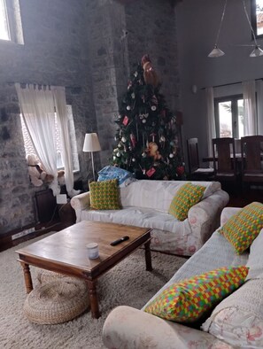 TV, fireplace