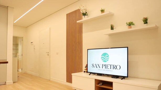 Una habitación moderna con una televisión mostrando 'SAN PIEDRO VACATION RENTALS', paneles de madera y pequeñas macetas con plantas en estantes.