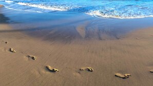 Una playa arenosa con huellas que se dirigen hacia el océano.
