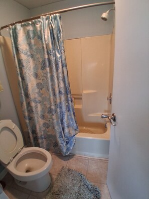 Hair dryer, towels, soap, toilet paper - Beautiful 3-bedroom house with AC in charming Selbyville (SELBYVILLE)