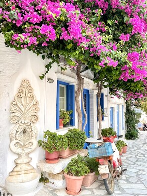 Exterior detail - VILLA MELIA (200m2) - Serenity & Spectacular View (Tinos)