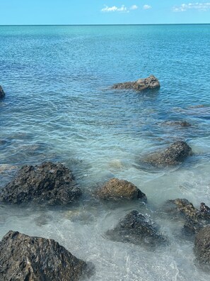 Niet-geclassificeerde afbeelding, 3 van 16, knop