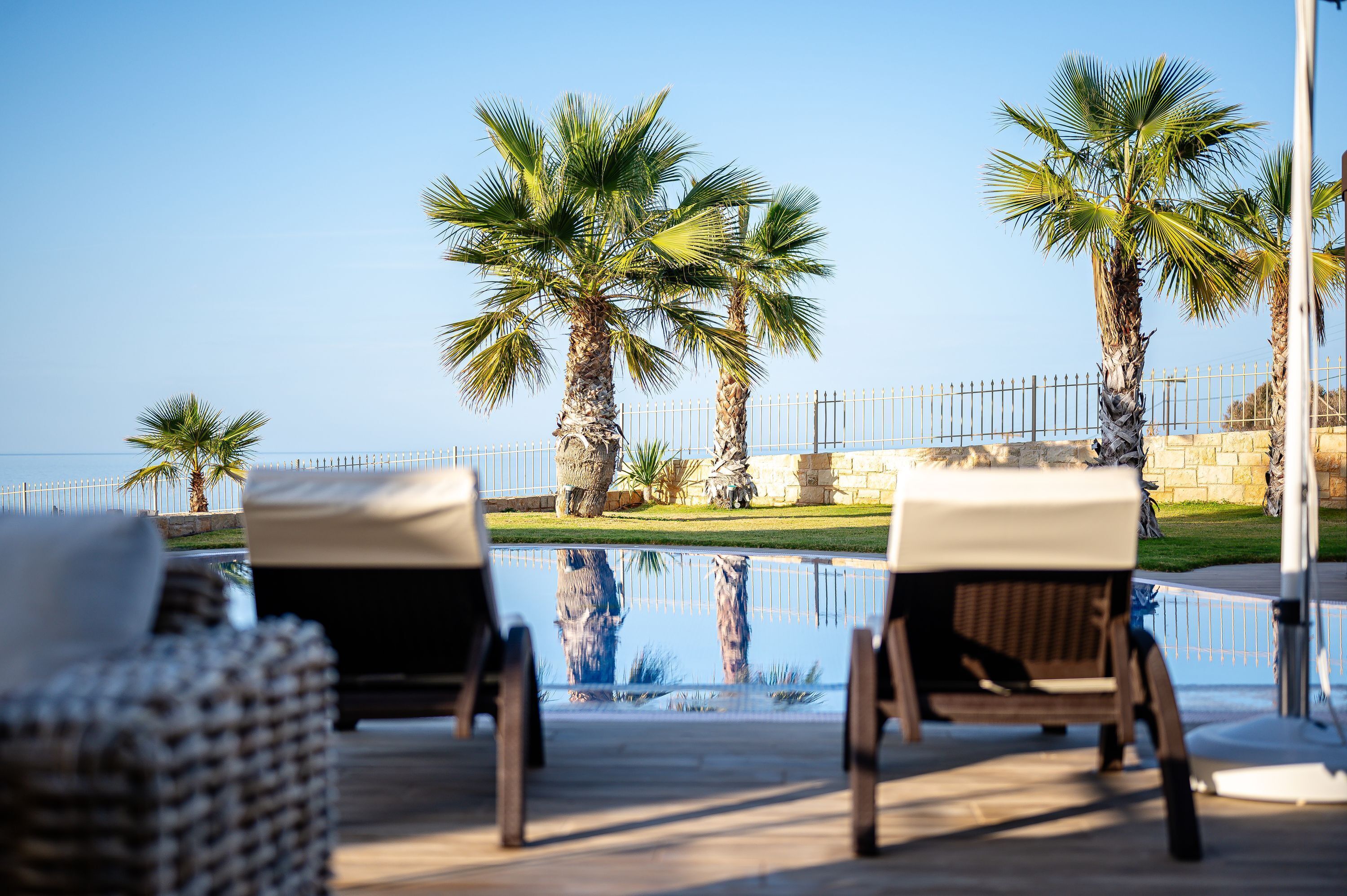 A poolside area with lounge chairs and palm trees.
