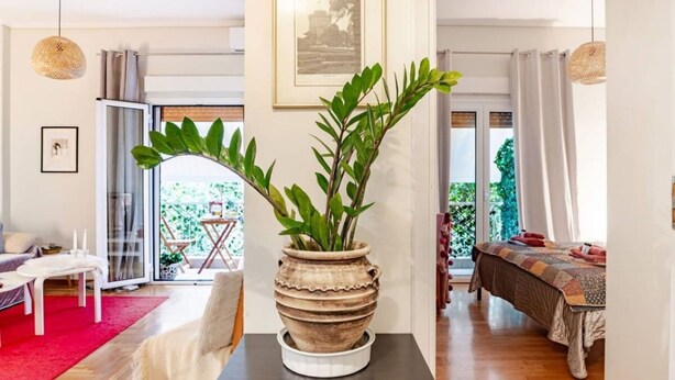 A living room with a large potted plant, a sofa, a coffee table, and a dining area with a table and chairs. - Cozy in Athens Neos Kosmos, an original vibe (Athina)