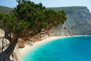 A coastal landscape with a prominent tree, clear turquoise waters, and a rocky cliff. - Lefkada Summer House near the beach! (Nikiana)