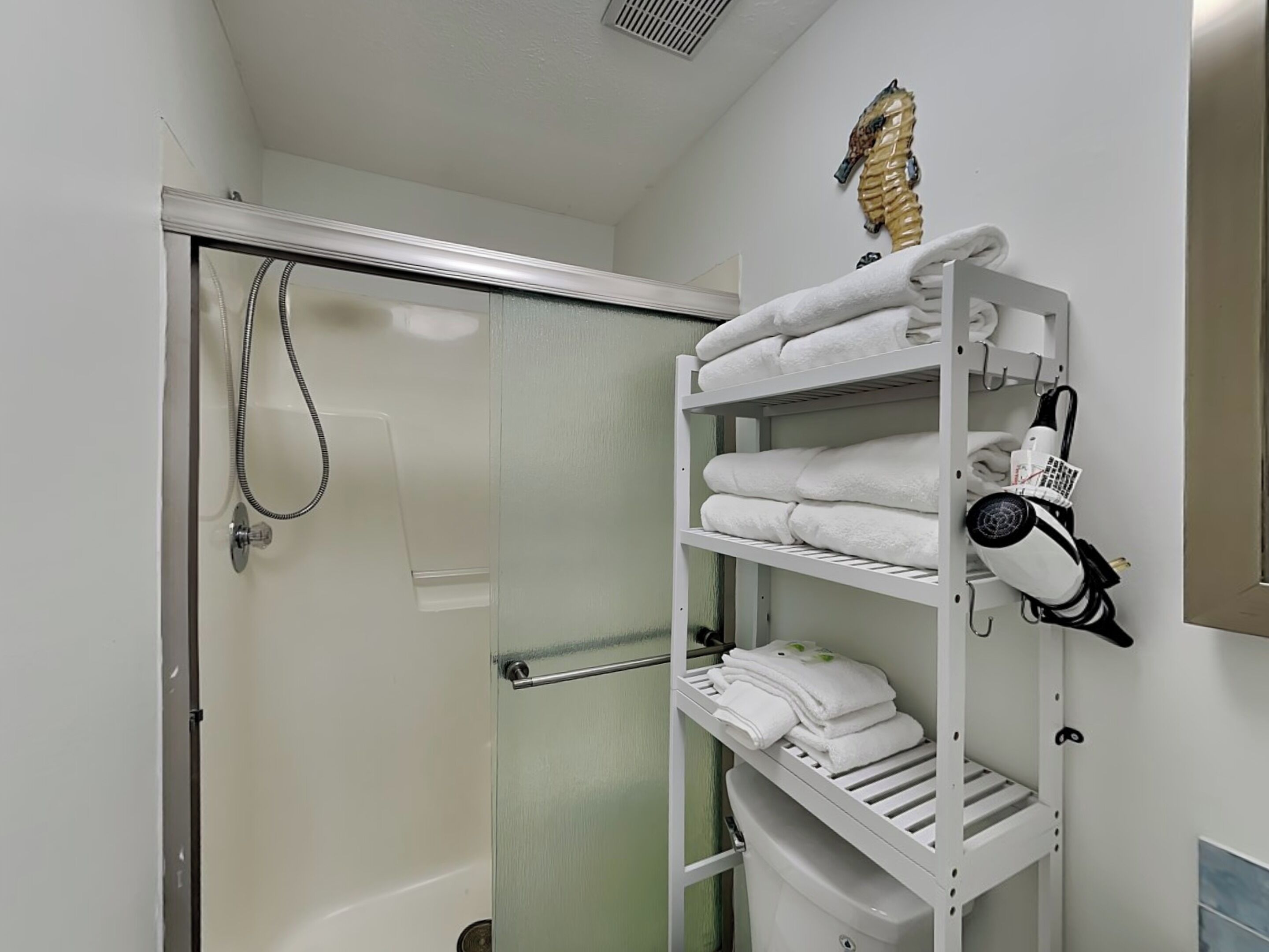 Une salle de bain avec une douche à parois de verre, un porte-serviettes blanc avec des serviettes et un sèche-cheveux.