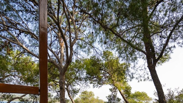 Un sendero de piedra que serpentea por un área boscosa, con una estructura de madera a la izquierda.