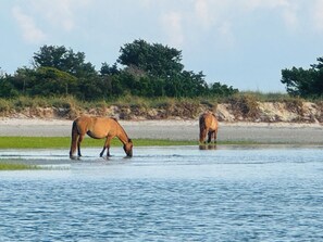 Imagem sem classificação, 2 de 9, botão