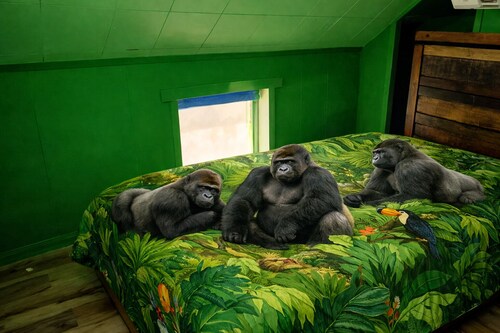 Epic Jungle Cruise Themed 3-BR Apartment Near Disney World