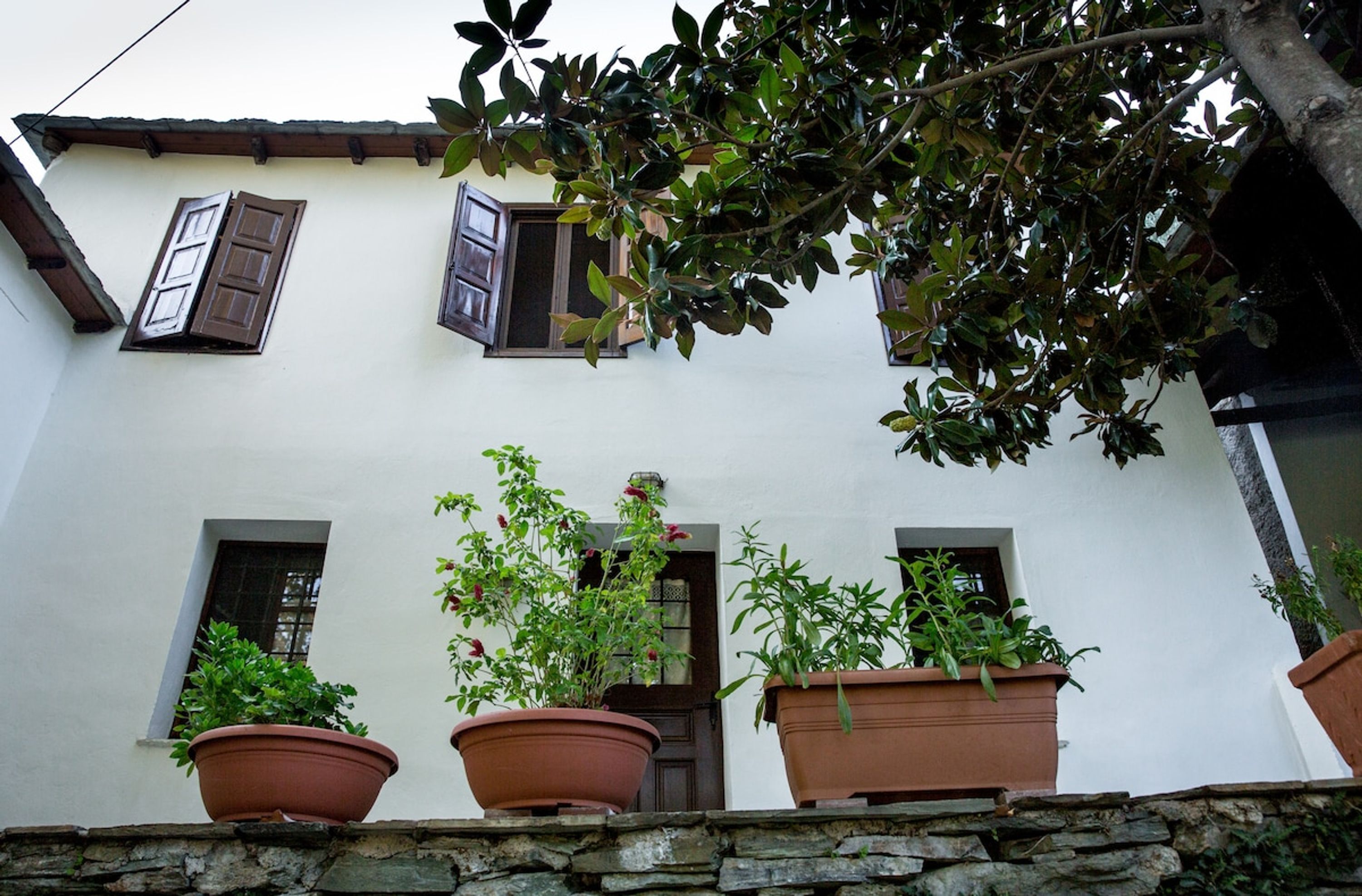 A building with three windows, each with a brown shutter. There are three potted plants on the ground in front of the building.
