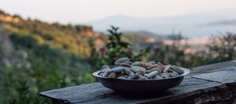 Secluded cottage & guesthouse in the mountains