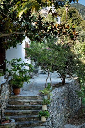 Property grounds - Secluded cottage & guesthouse in the mountains (Makrinitsa)