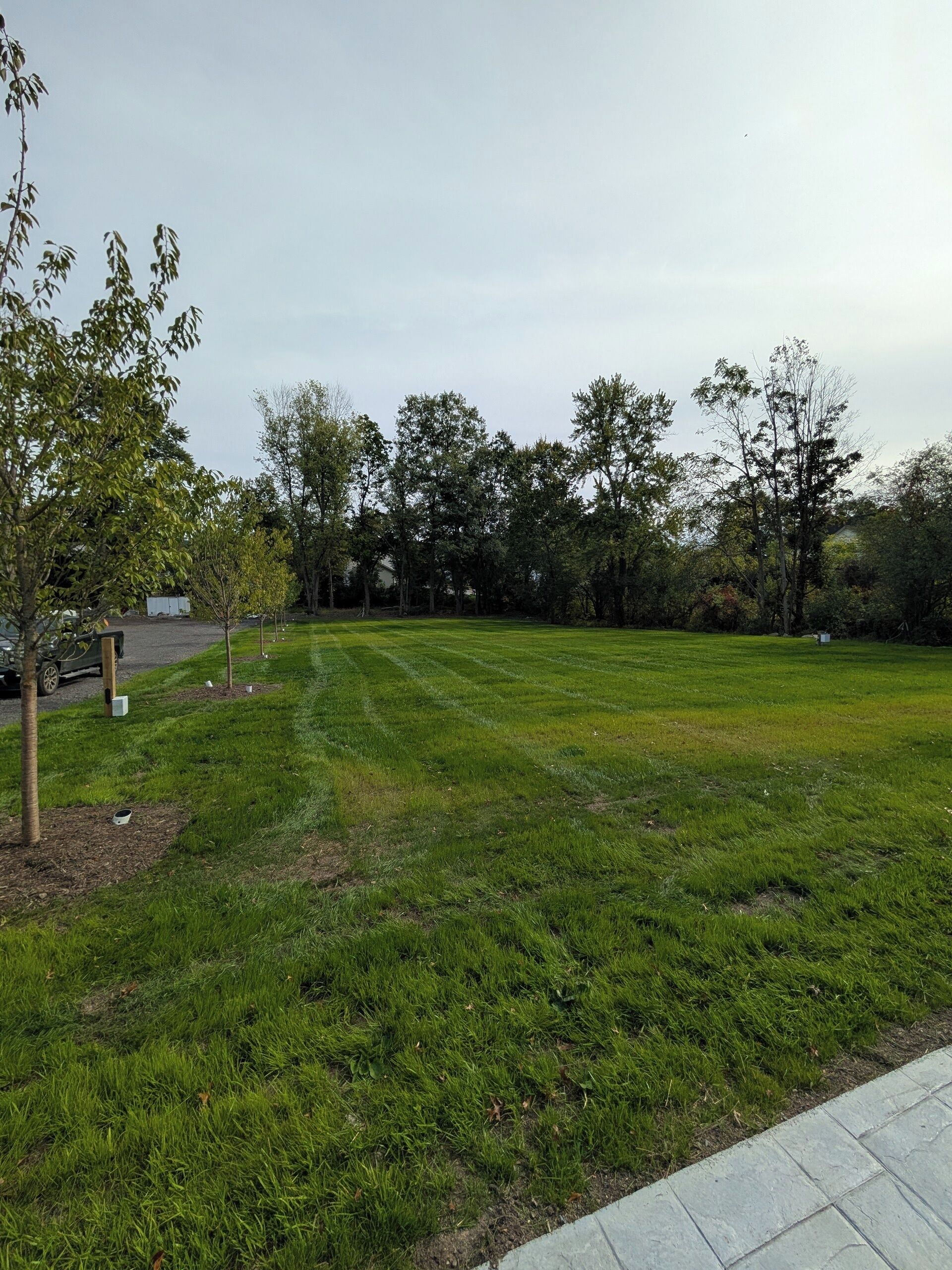 A grassy outdoor area with trees and a paved path.